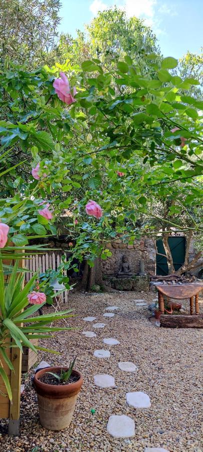 Villa Fontilha Usclas-l'Herault エクステリア 写真